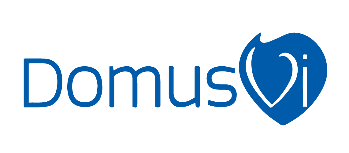 Domus Vi - logo